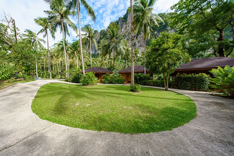 Sainai Forest Cottage